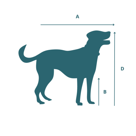 Side view of a dog marked with the crate measurements this form asks for: A, length from the tip of the nose to the base of the tail; B, leg length from the ground to the shoulder; D, height