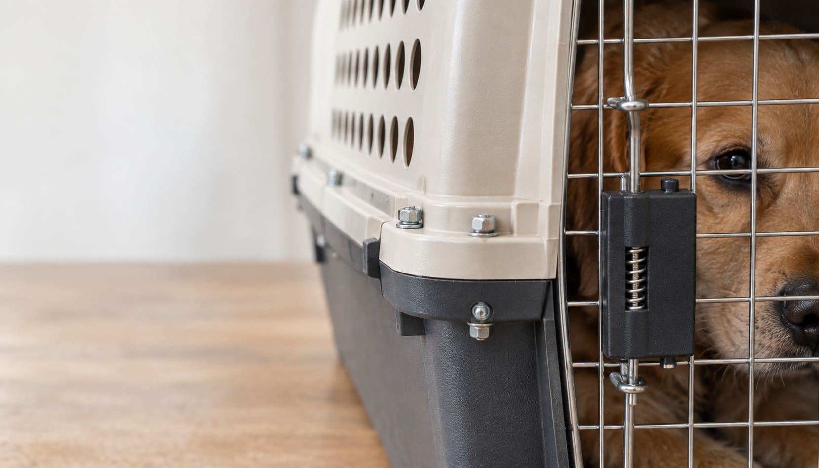 Close view of a travel kennel door showing metal bolts and ventilation openings